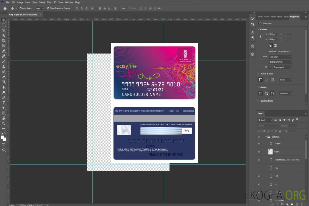 Carte Easy Life de la Banque d'État palestinienne de Palestine template Carte Easy Life de la Banque d'État palestinienne de Palestine template